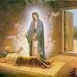 Meet your Posher, Kenia